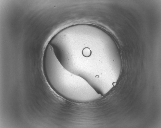 X0000064731512200603031628