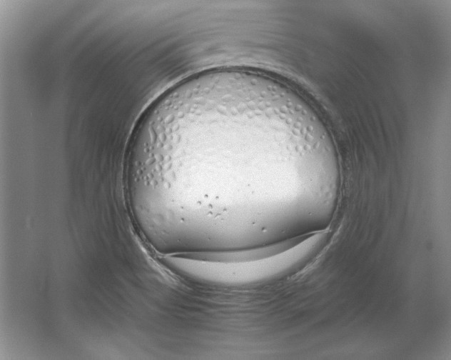 X0000064731513200603031628