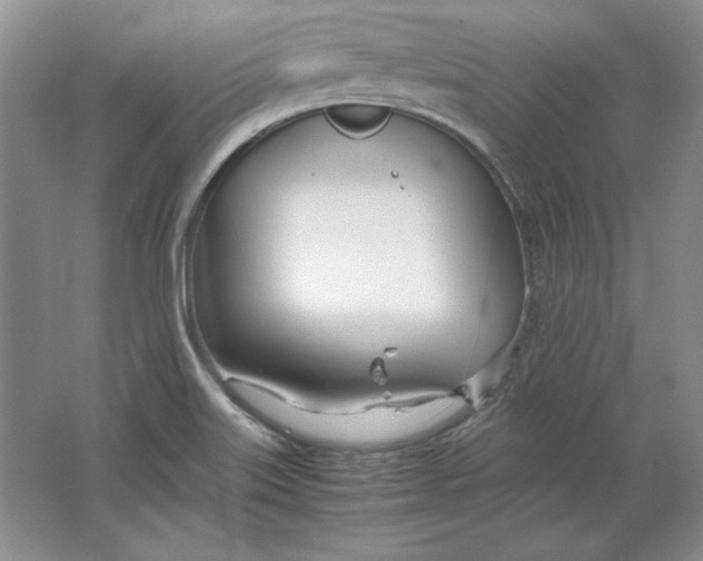 X0000064731515200603031628