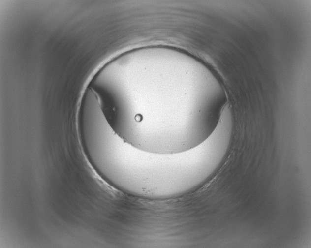 X0000064731516200603031628