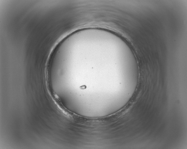 X0000064731517200603031628