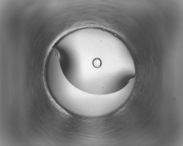 X0000064731518200603031628