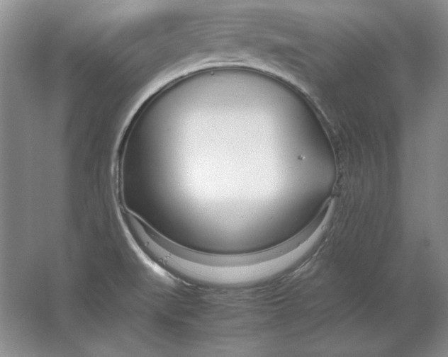 X0000064731519200603031628