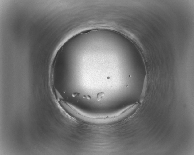 X0000064731520200603031628