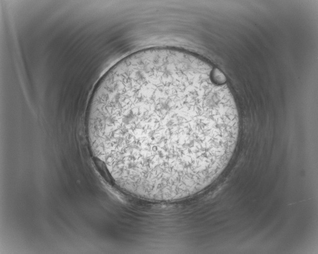 X0000064731521200603031628