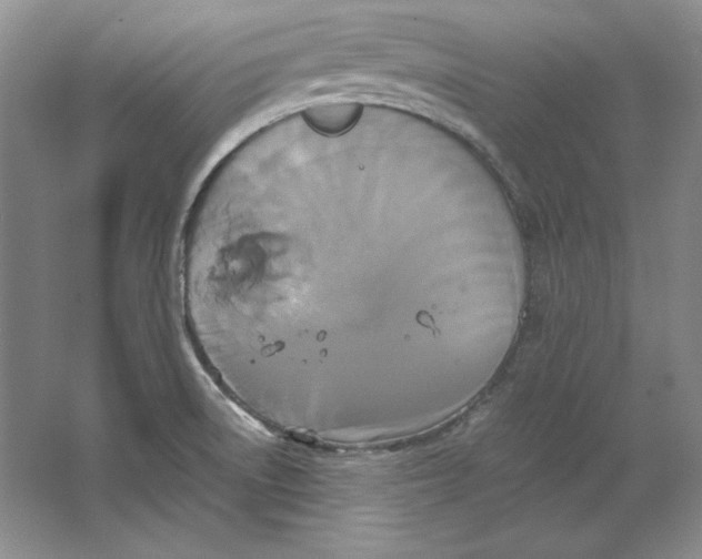 X0000064731522200603031628