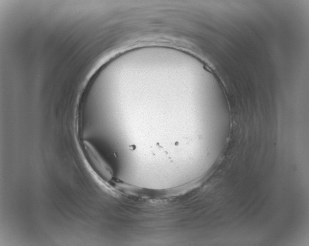 X0000064731523200603031628