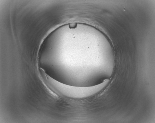 X0000064731525200603031628