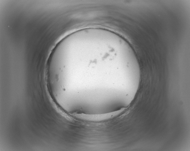 X0000064731526200603031628