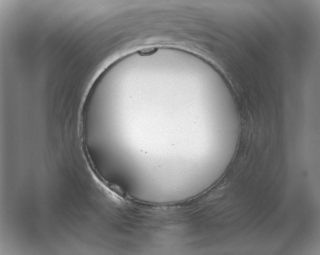 X0000064731527200603031628