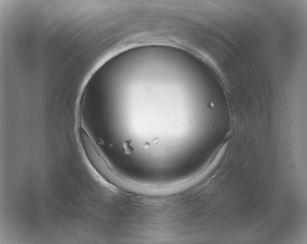 X0000064731528200603031628