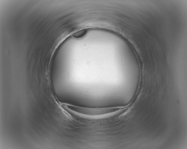 X0000064731529200603031628