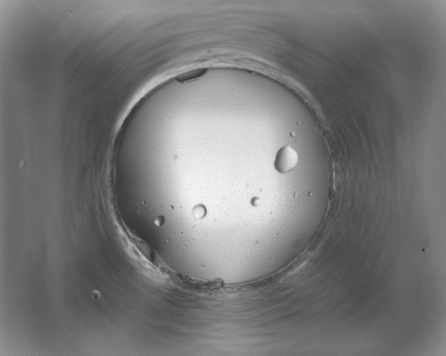 X0000064731530200603031628