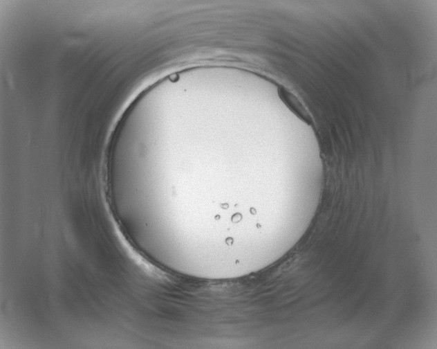 X0000064731531200603031628