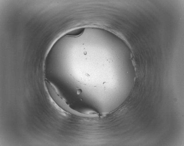 X0000064731532200603031628