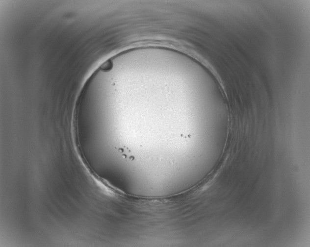 X0000064731533200603031628