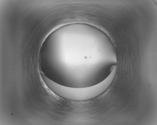 X0000064731534200603031628