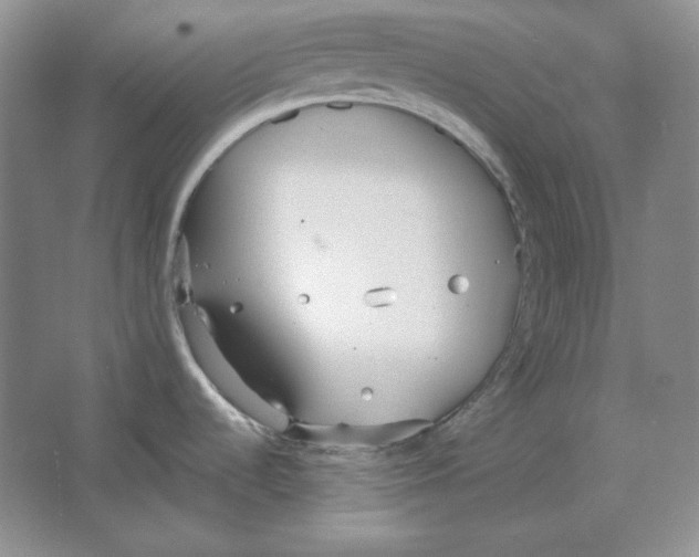 X0000064731536200603031628