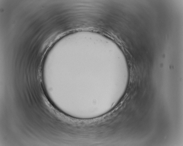 X0000064730002200603131305