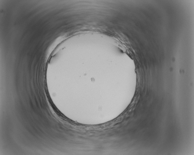 X0000064730003200603131305