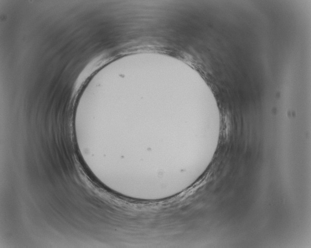 X0000064730004200603131305