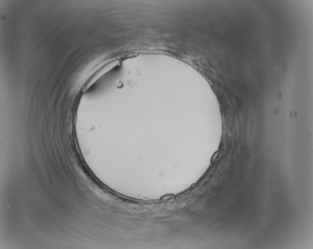 X0000064730005200603131305