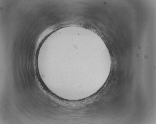 X0000064730006200603131305