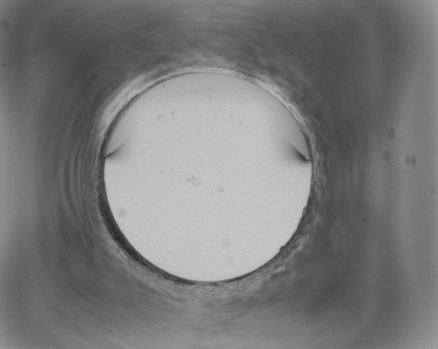 X0000064730007200603131305