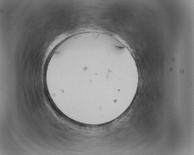 X0000064730008200603131305