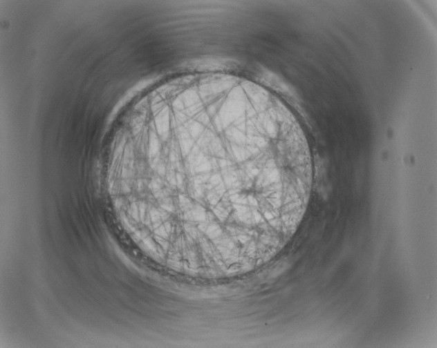 X0000064730012200603131305