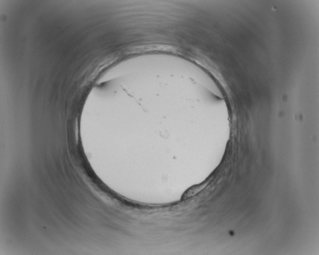 X0000064730013200603131305