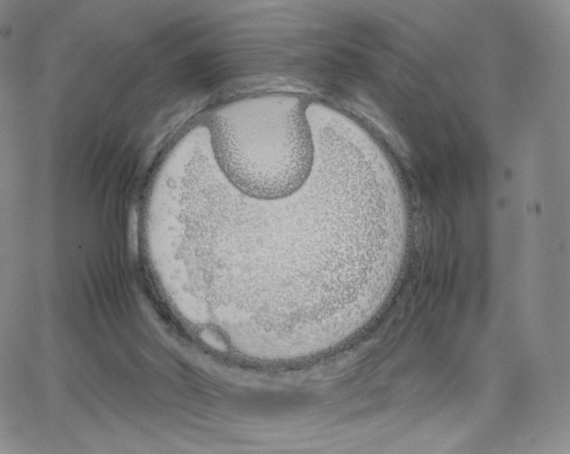 X0000064730014200603131305