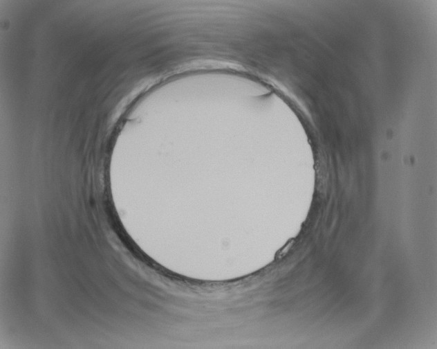 X0000064730015200603131305