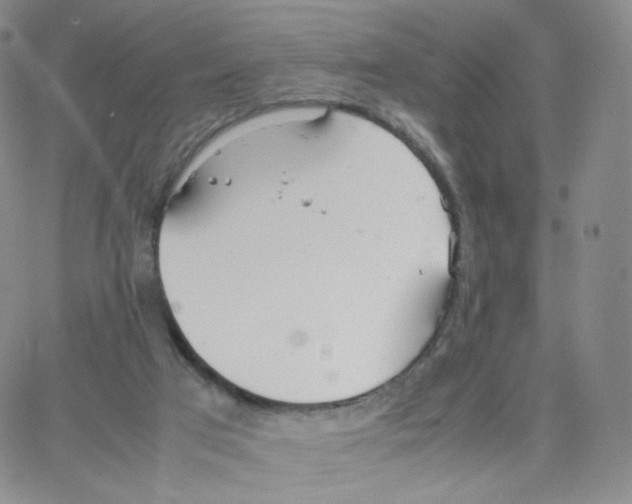 X0000064730017200603131305