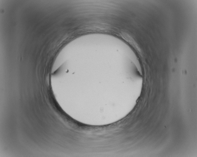 X0000064730021200603131304