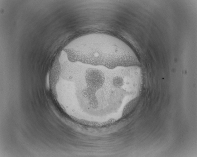 X0000064730022200603131304