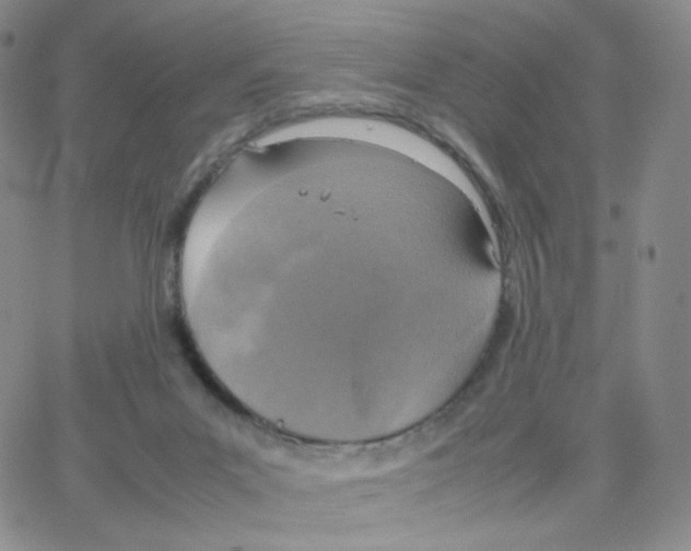 X0000064730023200603131304