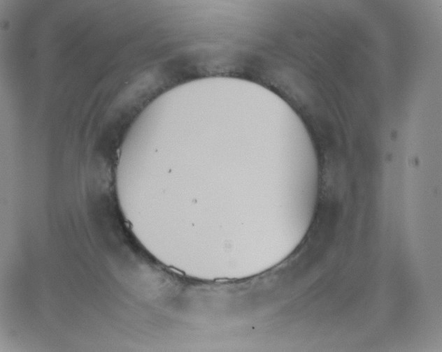 X0000064730025200603131304