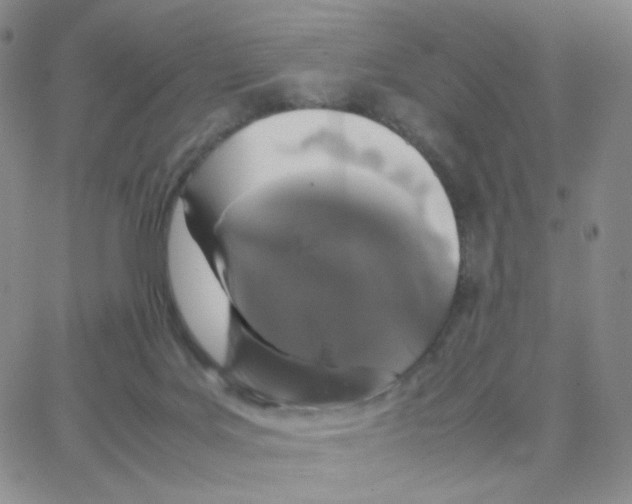 X0000064730027200603131304