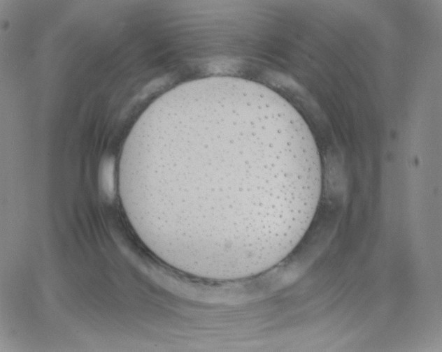 X0000064730028200603131304