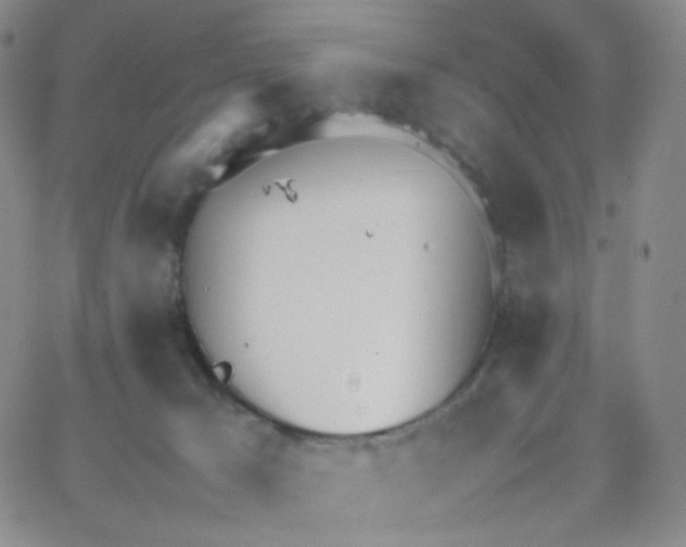 X0000064730029200603131304