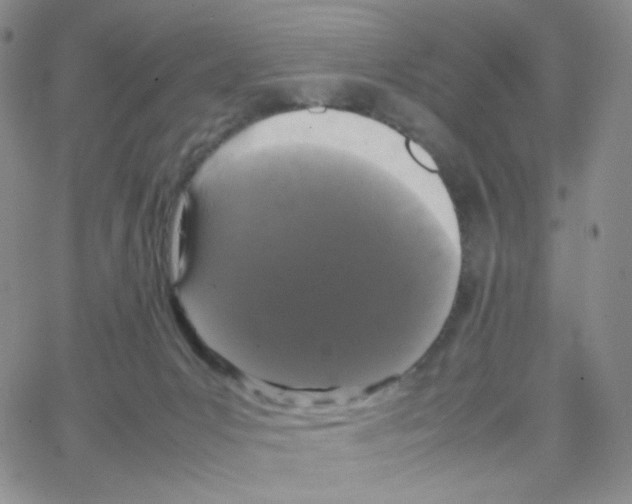 X0000064730031200603131304