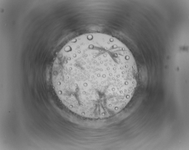 X0000064730032200603131304