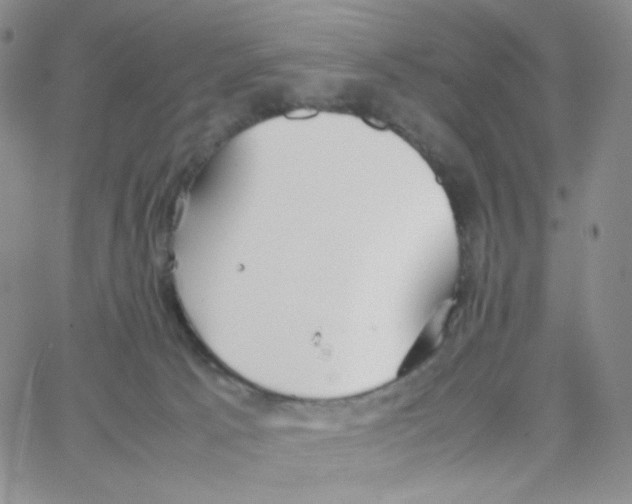 X0000064730033200603131304