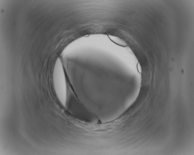 X0000064730035200603131304