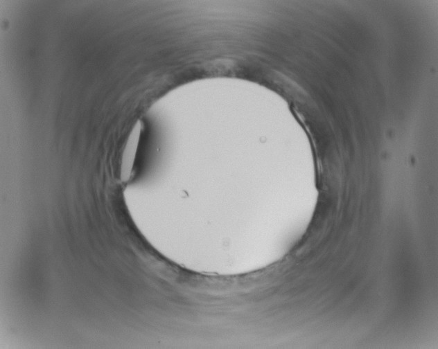 X0000064730037200603131304