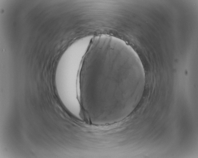 X0000064730039200603131304