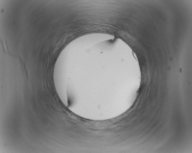 X0000064730041200603131304