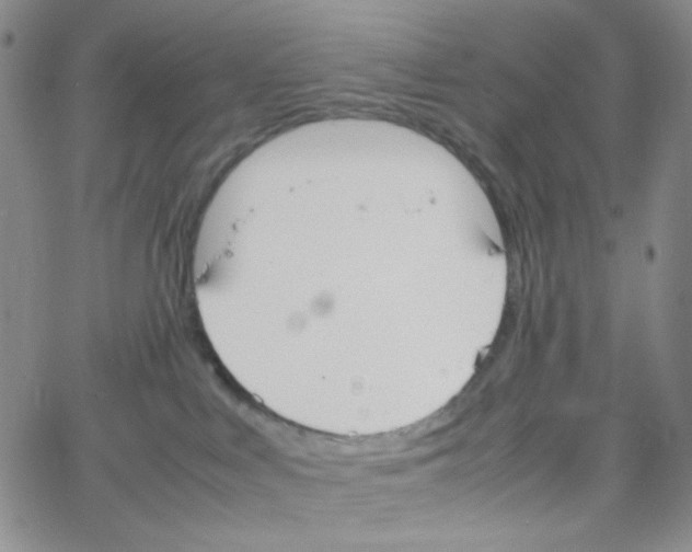 X0000064730043200603131304