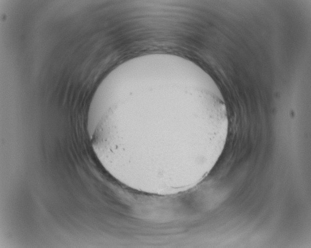 X0000064730044200603131304